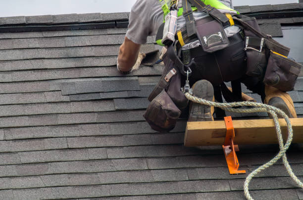 Best New Roof Installation  in Brownlee Park, MI
