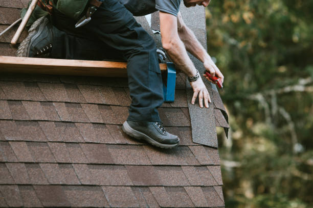 Quick and Trustworthy Emergency Roof Repair Services in Brownlee Park, MI